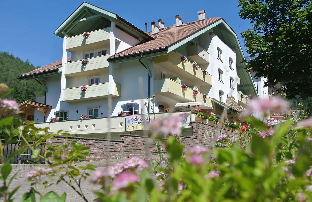 Hotel Erica-1